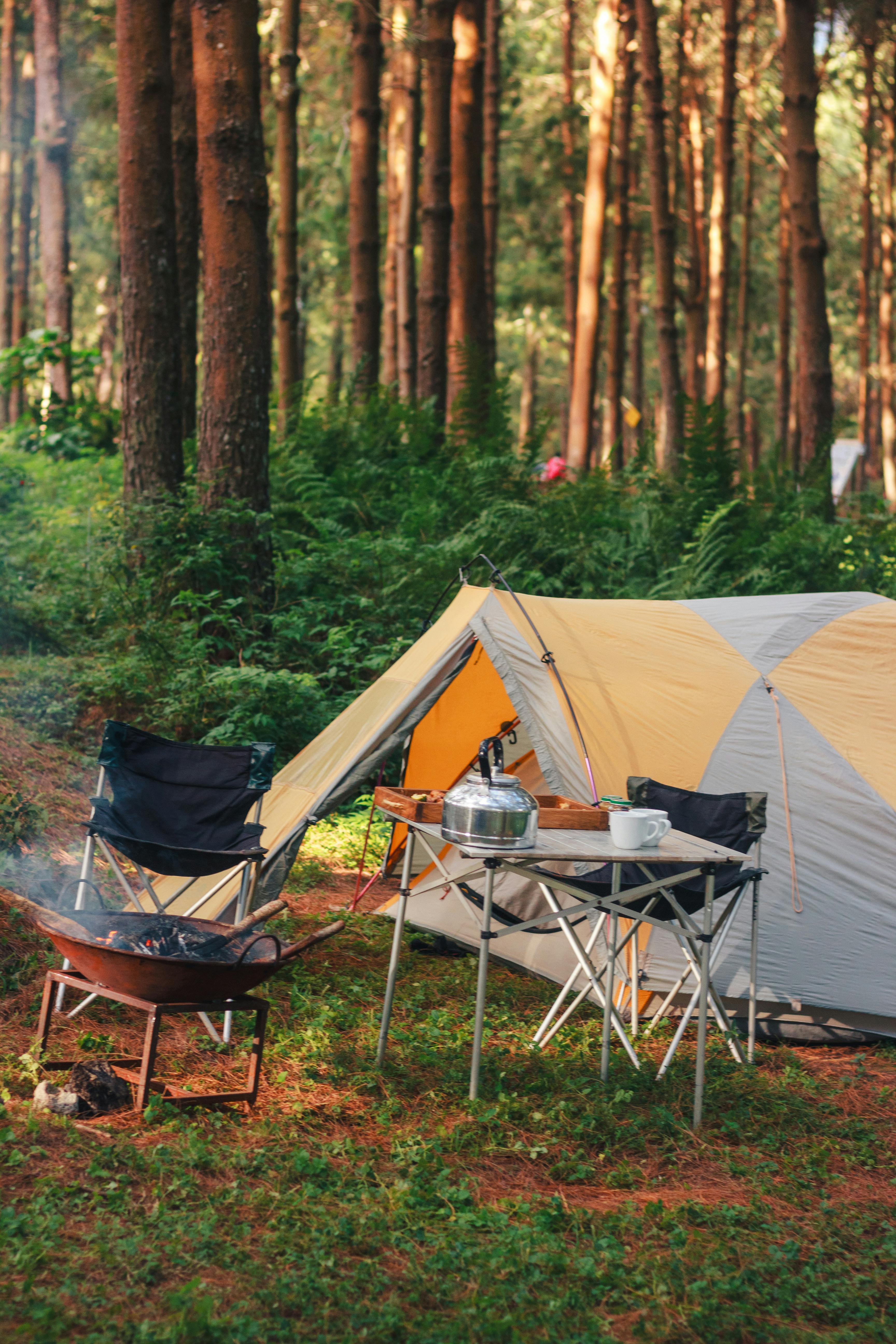 Camping — tent chairs fire pit and camping gear in forest setting