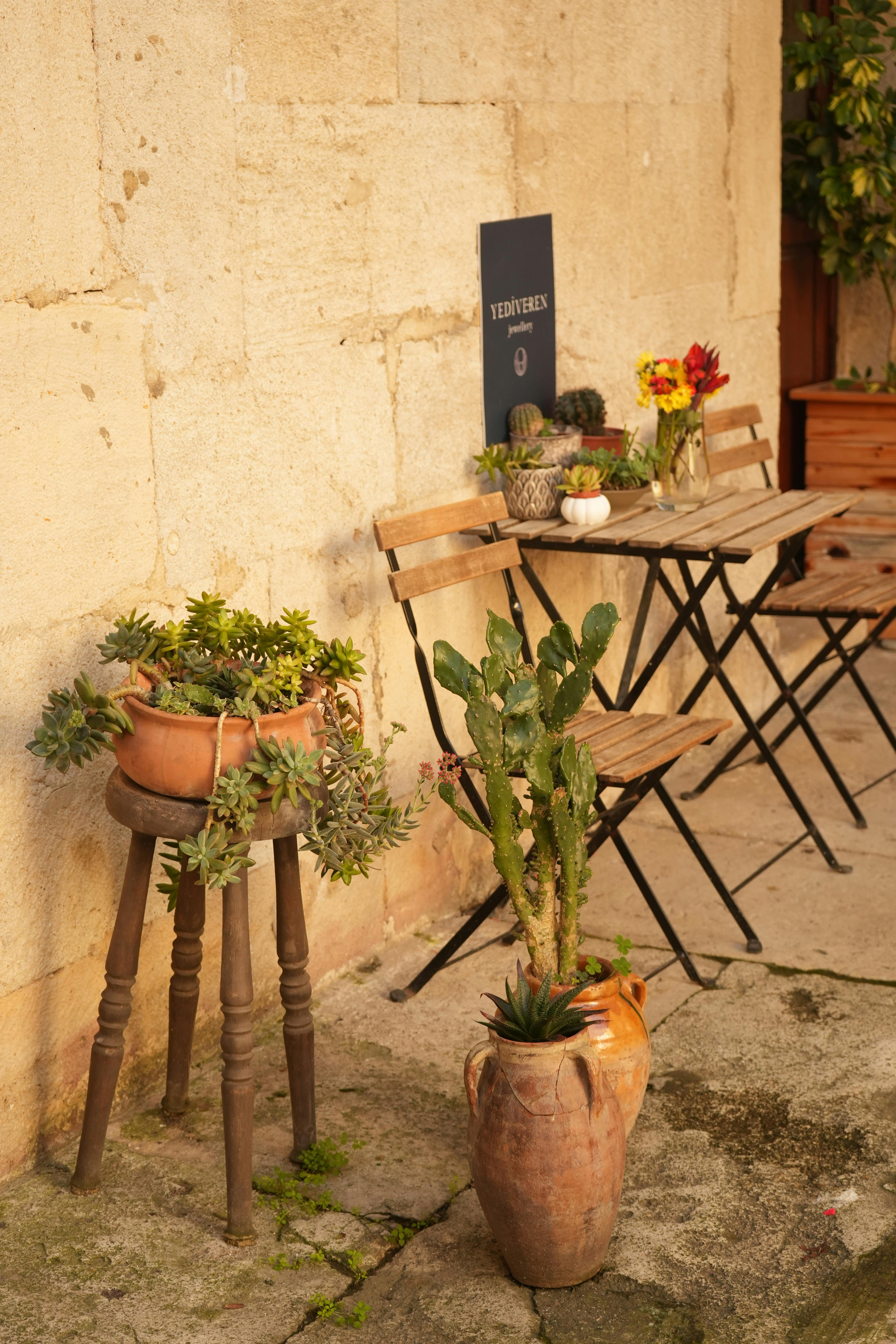 Outdoor Furniture — bistro table and chairs with plants in open courtyard