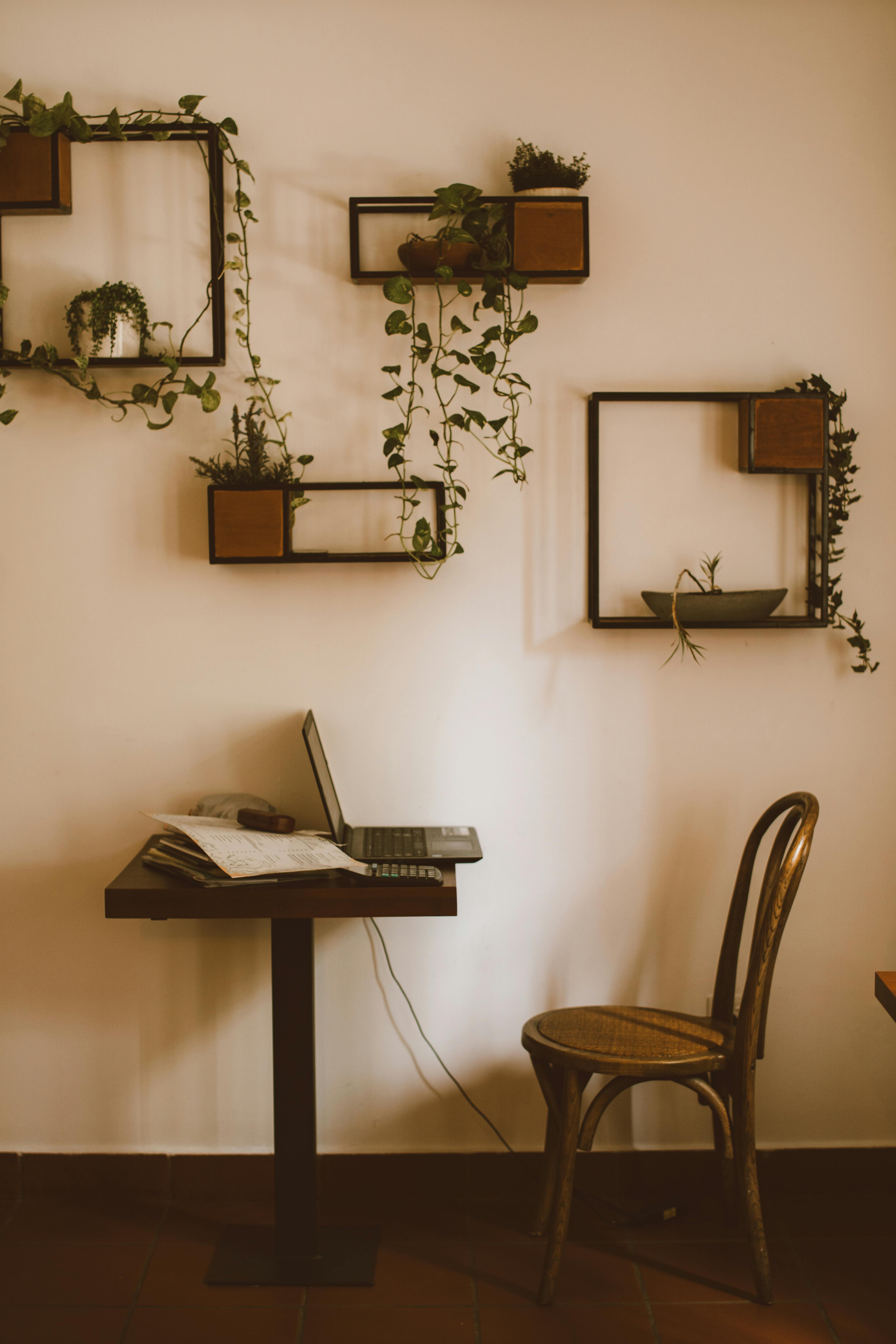 Wall Arts and Shelves